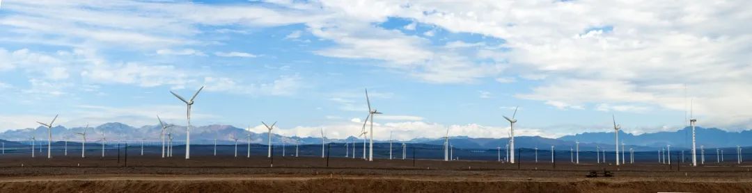 1604495337111572.jpg 1.jpg