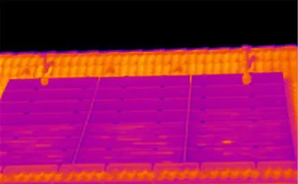 1659705011.jpg 7.jpg